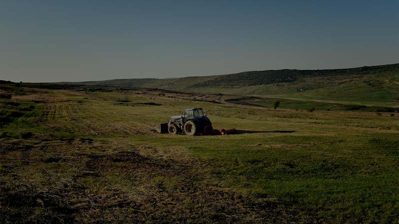 farmers